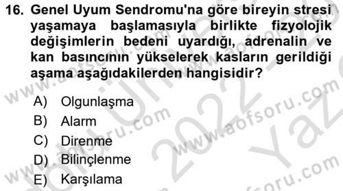 İş Yaşaminda Risk Etmenleri Ve Yönetimsel Faktörler Dersi 2022 - 2023 Yılı Yaz Okulu Sınav Soruları 16. Soru