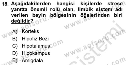 İş Yaşaminda Risk Etmenleri Ve Yönetimsel Faktörler Dersi 2022 - 2023 Yılı Yaz Okulu Sınav Soruları 18. Soru