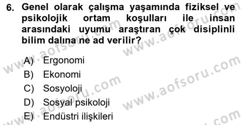 İş Yaşaminda Risk Etmenleri Ve Yönetimsel Faktörler Dersi 2022 - 2023 Yılı Yaz Okulu Sınav Soruları 6. Soru