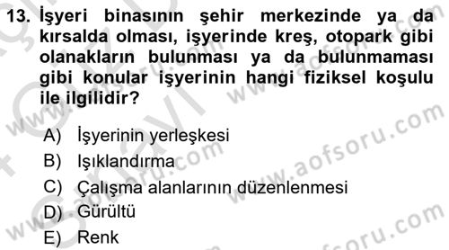 İş Yaşaminda Risk Etmenleri Ve Yönetimsel Faktörler Dersi Ara Sınavı Deneme Sınav Soruları 13. Soru