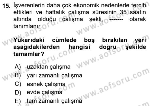 İş Yaşaminda Risk Etmenleri Ve Yönetimsel Faktörler Dersi Ara Sınavı Deneme Sınav Soruları 15. Soru