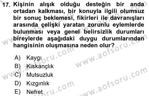 İş Yaşaminda Risk Etmenleri Ve Yönetimsel Faktörler Dersi Ara Sınavı Deneme Sınav Soruları 17. Soru