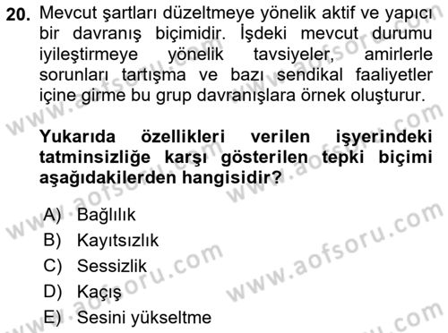 İş Yaşaminda Risk Etmenleri Ve Yönetimsel Faktörler Dersi Ara Sınavı Deneme Sınav Soruları 20. Soru