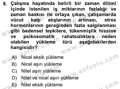 İş Yaşaminda Risk Etmenleri Ve Yönetimsel Faktörler Dersi Ara Sınavı Deneme Sınav Soruları 8. Soru