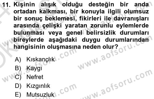İş Yaşaminda Risk Etmenleri Ve Yönetimsel Faktörler Dersi 2023 - 2024 Yılı Yaz Okulu Sınav Soruları 11. Soru