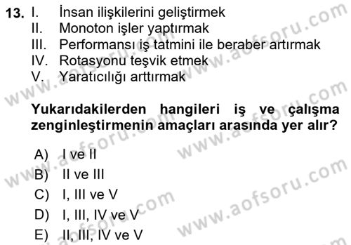 İş Yaşaminda Risk Etmenleri Ve Yönetimsel Faktörler Dersi 2023 - 2024 Yılı Yaz Okulu Sınav Soruları 13. Soru