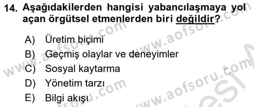 İş Yaşaminda Risk Etmenleri Ve Yönetimsel Faktörler Dersi 2023 - 2024 Yılı Yaz Okulu Sınav Soruları 14. Soru