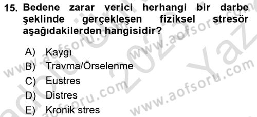 İş Yaşaminda Risk Etmenleri Ve Yönetimsel Faktörler Dersi 2023 - 2024 Yılı Yaz Okulu Sınav Soruları 15. Soru