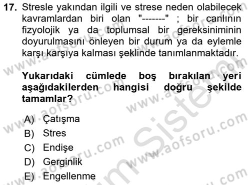 İş Yaşaminda Risk Etmenleri Ve Yönetimsel Faktörler Dersi 2023 - 2024 Yılı Yaz Okulu Sınav Soruları 17. Soru