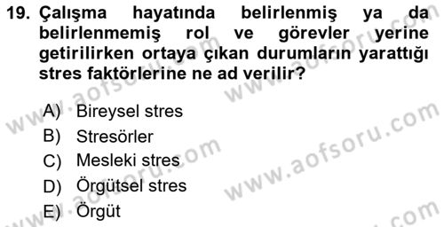 İş Yaşaminda Risk Etmenleri Ve Yönetimsel Faktörler Dersi 2023 - 2024 Yılı Yaz Okulu Sınav Soruları 19. Soru
