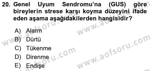 İş Yaşaminda Risk Etmenleri Ve Yönetimsel Faktörler Dersi 2023 - 2024 Yılı Yaz Okulu Sınav Soruları 20. Soru