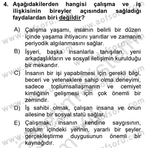 İş Yaşaminda Risk Etmenleri Ve Yönetimsel Faktörler Dersi 2023 - 2024 Yılı Yaz Okulu Sınav Soruları 4. Soru
