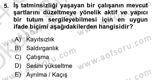 İş Yaşaminda Risk Etmenleri Ve Yönetimsel Faktörler Dersi 2023 - 2024 Yılı Yaz Okulu Sınav Soruları 5. Soru