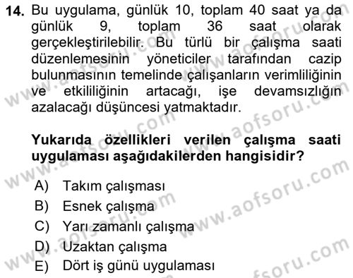 İş Yaşaminda Risk Etmenleri Ve Yönetimsel Faktörler Dersi 2024 - 2025 Yılı (Vize) Ara Sınav Soruları 14. Soru