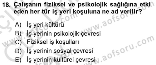 İş Yaşaminda Risk Etmenleri Ve Yönetimsel Faktörler Dersi 2024 - 2025 Yılı (Vize) Ara Sınav Soruları 18. Soru