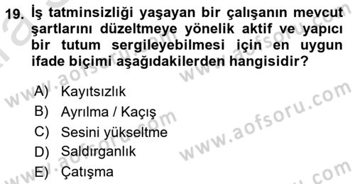 İş Yaşaminda Risk Etmenleri Ve Yönetimsel Faktörler Dersi 2024 - 2025 Yılı (Vize) Ara Sınav Soruları 19. Soru