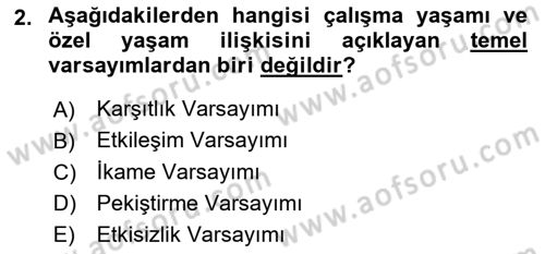 İş Yaşaminda Risk Etmenleri Ve Yönetimsel Faktörler Dersi 2024 - 2025 Yılı (Vize) Ara Sınav Soruları 2. Soru