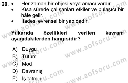 İş Yaşaminda Risk Etmenleri Ve Yönetimsel Faktörler Dersi Ara Sınavı Deneme Sınav Soruları 20. Soru