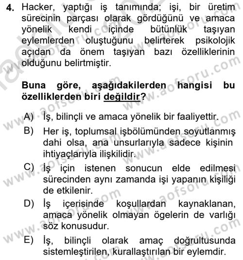 İş Yaşaminda Risk Etmenleri Ve Yönetimsel Faktörler Dersi Ara Sınavı Deneme Sınav Soruları 4. Soru