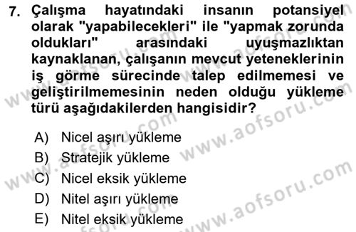 İş Yaşaminda Risk Etmenleri Ve Yönetimsel Faktörler Dersi Ara Sınavı Deneme Sınav Soruları 7. Soru