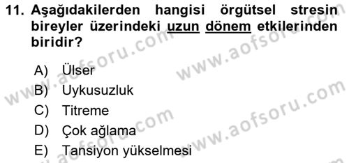 İş Yaşaminda Risk Etmenleri Ve Yönetimsel Faktörler Dersi 2024 - 2025 Yılı (Final) Dönem Sonu Sınav Soruları 11. Soru