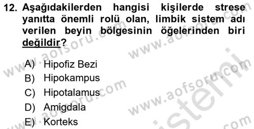 İş Yaşaminda Risk Etmenleri Ve Yönetimsel Faktörler Dersi 2024 - 2025 Yılı (Final) Dönem Sonu Sınav Soruları 12. Soru