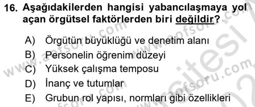 İş Yaşaminda Risk Etmenleri Ve Yönetimsel Faktörler Dersi 2024 - 2025 Yılı (Final) Dönem Sonu Sınav Soruları 16. Soru