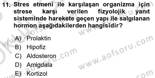 İş Yaşaminda Risk Etmenleri Ve Yönetimsel Faktörler Dersi 2024 - 2025 Yılı Yaz Okulu Sınav Soruları 11. Soru