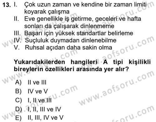İş Yaşaminda Risk Etmenleri Ve Yönetimsel Faktörler Dersi 2024 - 2025 Yılı Yaz Okulu Sınav Soruları 13. Soru