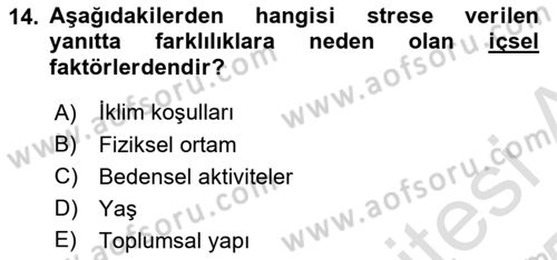 İş Yaşaminda Risk Etmenleri Ve Yönetimsel Faktörler Dersi 2024 - 2025 Yılı Yaz Okulu Sınav Soruları 14. Soru