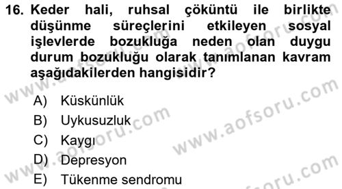 İş Yaşaminda Risk Etmenleri Ve Yönetimsel Faktörler Dersi 2024 - 2025 Yılı Yaz Okulu Sınav Soruları 16. Soru