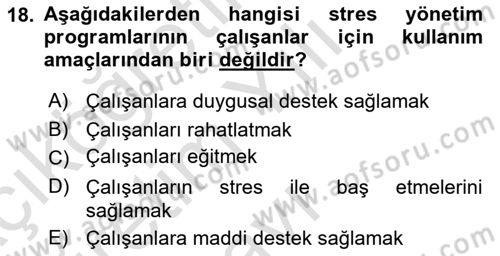 İş Yaşaminda Risk Etmenleri Ve Yönetimsel Faktörler Dersi 2024 - 2025 Yılı Yaz Okulu Sınav Soruları 18. Soru