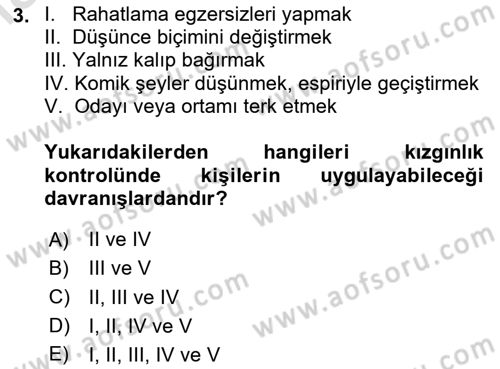İş Yaşaminda Risk Etmenleri Ve Yönetimsel Faktörler Dersi 2024 - 2025 Yılı Yaz Okulu Sınav Soruları 3. Soru