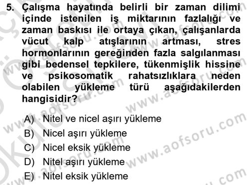 İş Yaşaminda Risk Etmenleri Ve Yönetimsel Faktörler Dersi 2024 - 2025 Yılı Yaz Okulu Sınav Soruları 5. Soru