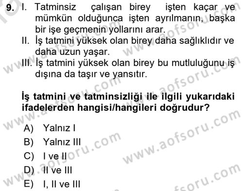 İş Yaşaminda Risk Etmenleri Ve Yönetimsel Faktörler Dersi 2024 - 2025 Yılı Yaz Okulu Sınav Soruları 9. Soru