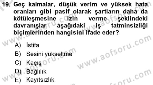 İş Yaşaminda Risk Etmenleri Ve Yönetimsel Faktörler Dersi 2025 - 2026 Yılı (Vize) Ara Sınav Soruları 19. Soru