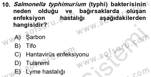 Kimya ve Biyoloji Sektörlerinde İş Sağlığı ve Güvenliği Dersi 2021 - 2022 Yılı (Vize) Ara Sınav Soruları 10. Soru