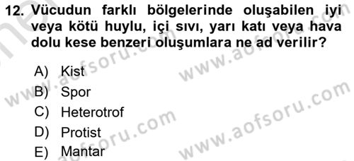 Kimya ve Biyoloji Sektörlerinde İş Sağlığı ve Güvenliği Dersi 2021 - 2022 Yılı (Vize) Ara Sınav Soruları 12. Soru