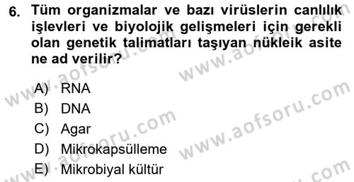 Kimya ve Biyoloji Sektörlerinde İş Sağlığı ve Güvenliği Dersi 2021 - 2022 Yılı (Vize) Ara Sınav Soruları 6. Soru
