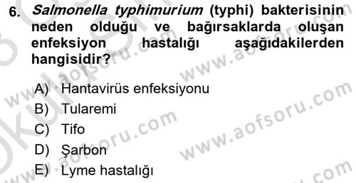 Kimya ve Biyoloji Sektörlerinde İş Sağlığı ve Güvenliği Dersi 2022 - 2023 Yılı Yaz Okulu Sınav Soruları 6. Soru
