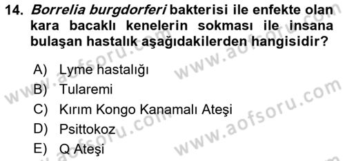 Kimya ve Biyoloji Sektörlerinde İş Sağlığı ve Güvenliği Dersi 2023 - 2024 Yılı (Vize) Ara Sınav Soruları 14. Soru