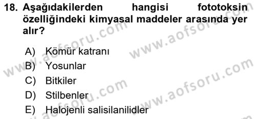 Kimya ve Biyoloji Sektörlerinde İş Sağlığı ve Güvenliği Dersi 2023 - 2024 Yılı (Vize) Ara Sınav Soruları 18. Soru