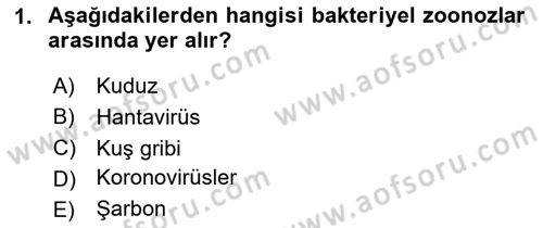 Kimya ve Biyoloji Sektörlerinde İş Sağlığı ve Güvenliği Dersi 2023 - 2024 Yılı Yaz Okulu Sınav Soruları 1. Soru