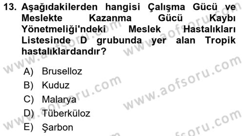 Kimya ve Biyoloji Sektörlerinde İş Sağlığı ve Güvenliği Dersi 2024 - 2025 Yılı (Vize) Ara Sınav Soruları 13. Soru