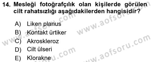 Kimya ve Biyoloji Sektörlerinde İş Sağlığı ve Güvenliği Dersi 2024 - 2025 Yılı (Vize) Ara Sınav Soruları 14. Soru
