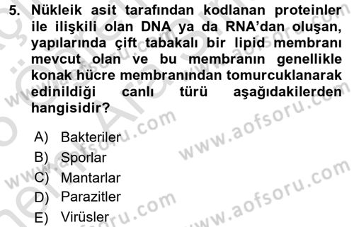 Kimya ve Biyoloji Sektörlerinde İş Sağlığı ve Güvenliği Dersi 2024 - 2025 Yılı (Vize) Ara Sınav Soruları 5. Soru