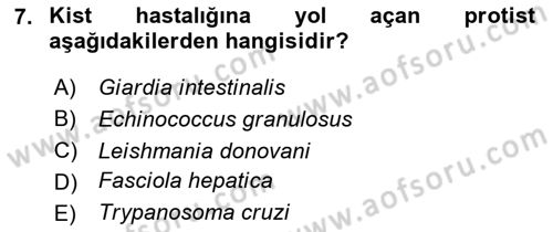 Kimya ve Biyoloji Sektörlerinde İş Sağlığı ve Güvenliği Dersi 2024 - 2025 Yılı (Vize) Ara Sınav Soruları 7. Soru