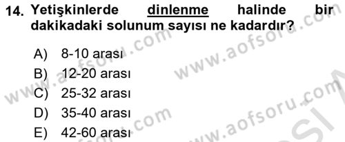 Kimya ve Biyoloji Sektörlerinde İş Sağlığı ve Güvenliği Dersi 2024 - 2025 Yılı (Final) Dönem Sonu Sınav Soruları 14. Soru