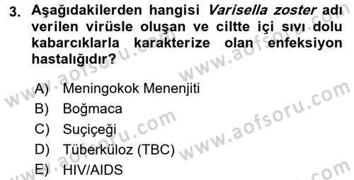 Kimya ve Biyoloji Sektörlerinde İş Sağlığı ve Güvenliği Dersi 2024 - 2025 Yılı Yaz Okulu Sınav Soruları 3. Soru