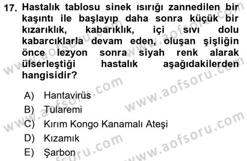 Kimya ve Biyoloji Sektörlerinde İş Sağlığı ve Güvenliği Dersi 2025 - 2026 Yılı (Vize) Ara Sınav Soruları 17. Soru